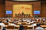 Quốc hội khóa XV thông qua hai đạo luật nền tảng cho chuyển đổi số và hỗ trợ doanh nghiệp