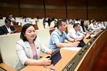 Quốc hội thông qua Luật Doanh nghiệp và Nghị quyết giảm thuế giá trị gia tăng