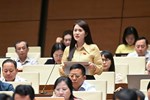 Đại biểu Vương Thị Hương (Đoàn Hà Giang) kiến nghị hoàn thiện chính sách nghỉ việc cho cán bộ vùng đặc biệt khó khăn