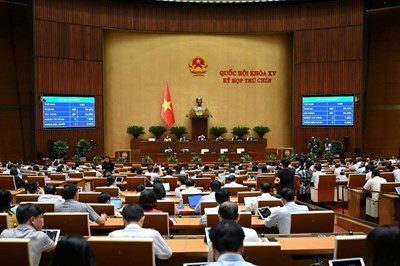 Quốc hội biểu quyết thông qua Luật Nhà giáo; Luật việc làm (sửa đổi) và Luật sửa đổi, bổ sung một số điều của Luật Quảng cáo
