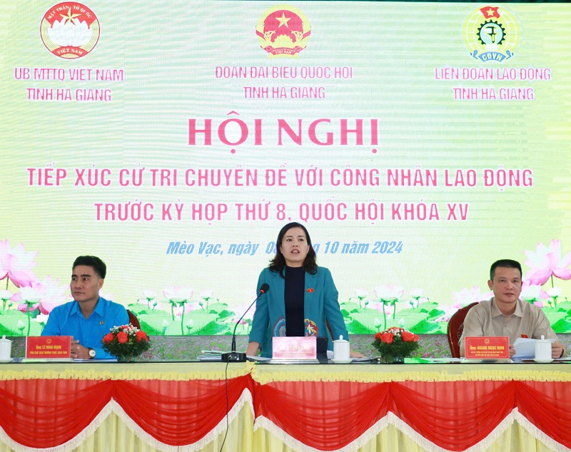 Hoạt động hiệu quả của đại biểu Quốc hội Chuyên trách: Đảm bảo tiếng nói cử tri và phát triển Đất nước